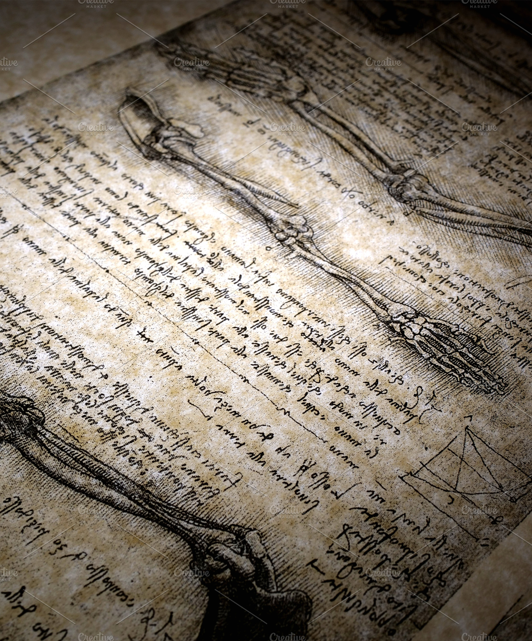 Old anatomy containing biology, anatomy, and drawing, a School & Education Photo by graphic 9