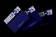 Steel Anthem - Bold Display Font, a Sans Serif Font by Hakara Type (Thumbnail 5 of 12)