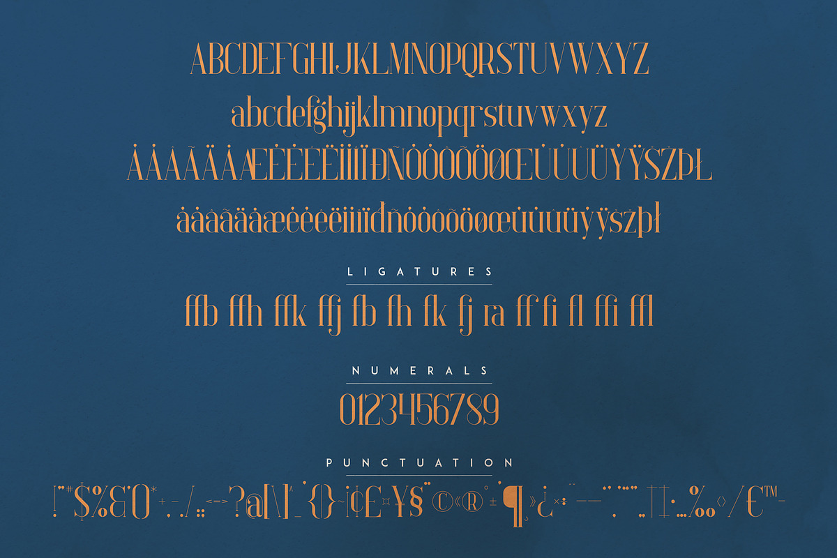 Elysian - serif font, a Serif Font by VP Fonts (Photo 10 of 12)