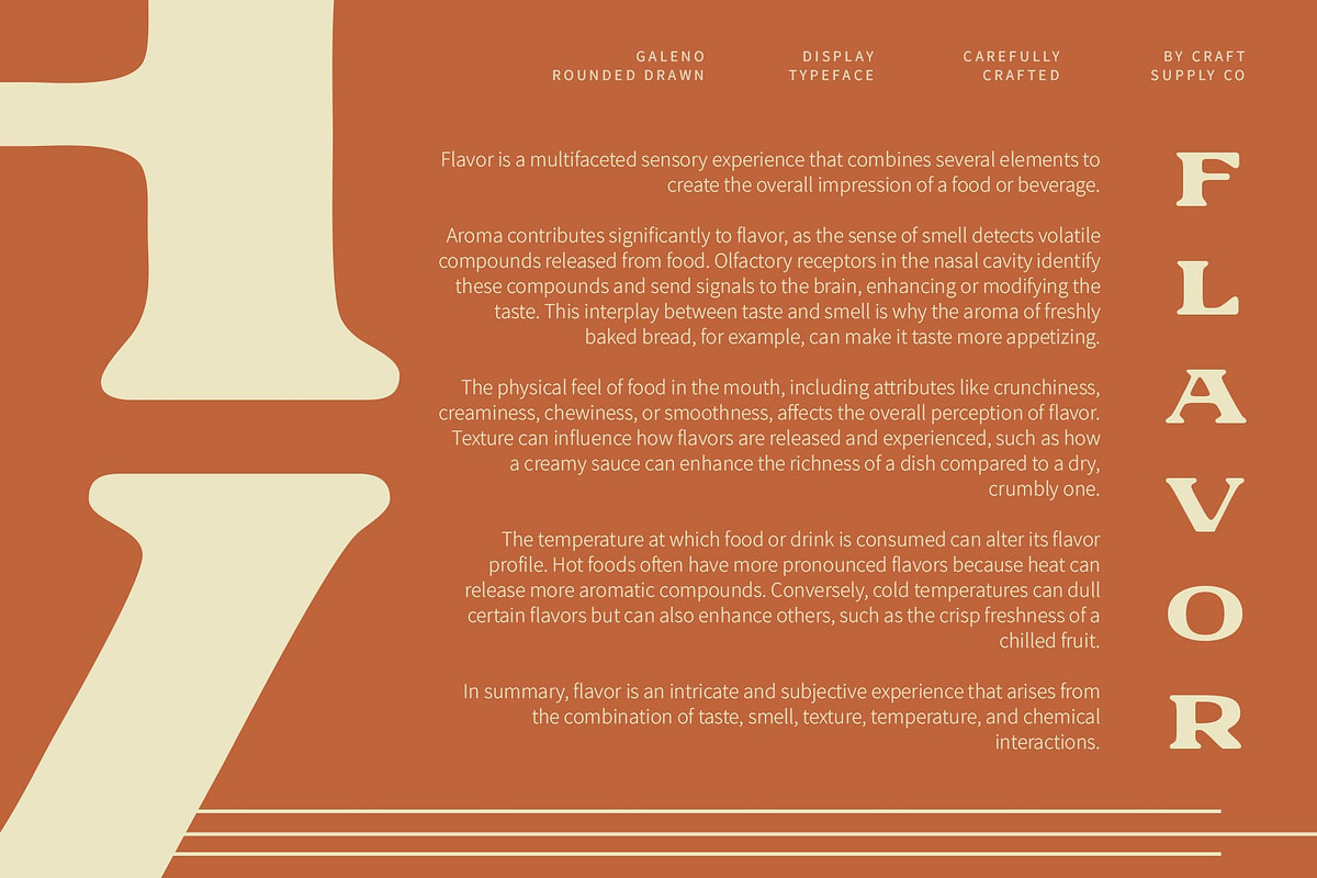 Galeno Rounded Drawn, a Serif Font by Craft Supply Co. (Photo 4 of 8)
