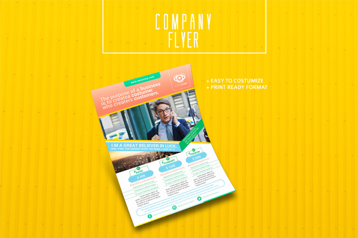 Company Flyer, a Flyer Template by Magoo Studio (Photo 2 of 3)