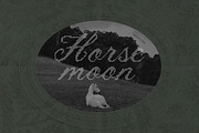 Lace House Stitched Embroidery Font, a Script Font by AnMark (Thumbnail 2 of 11)