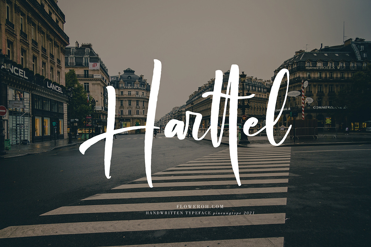 Bilattera, a Script Font by pineungtype (Photo 5 of 8)