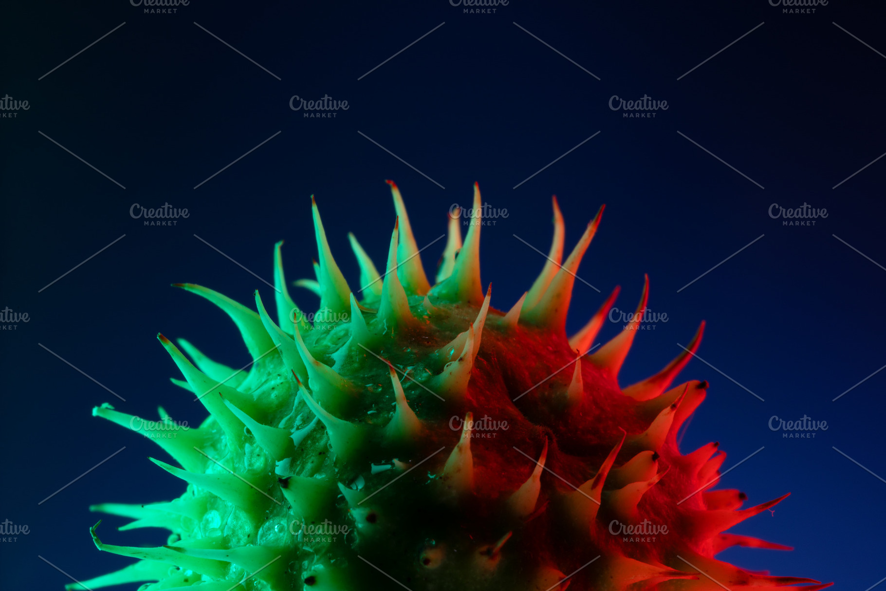 Close-up of a spiky green fruit with dramatic red and blue light, a Background Photo by Ales Munt