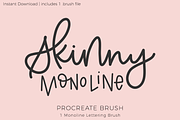 Procreate Lettering Brushes, a Brush Add-On by Beck McCormick (Thumbnail 15 of 18)