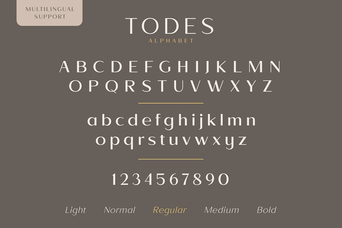 Todes, a Sans Serif Font by Larin Type Co. (Photo 14 of 15)