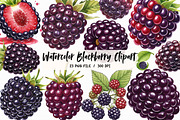 Watercolor Blackberry Clipart, an Illustration by Libby Wishes (Thumbnail 1 of 5)