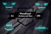 Vector badge set 11 pc. in 3 styles, a Templates & Theme by 4pixel (Thumbnail 2 of 5)