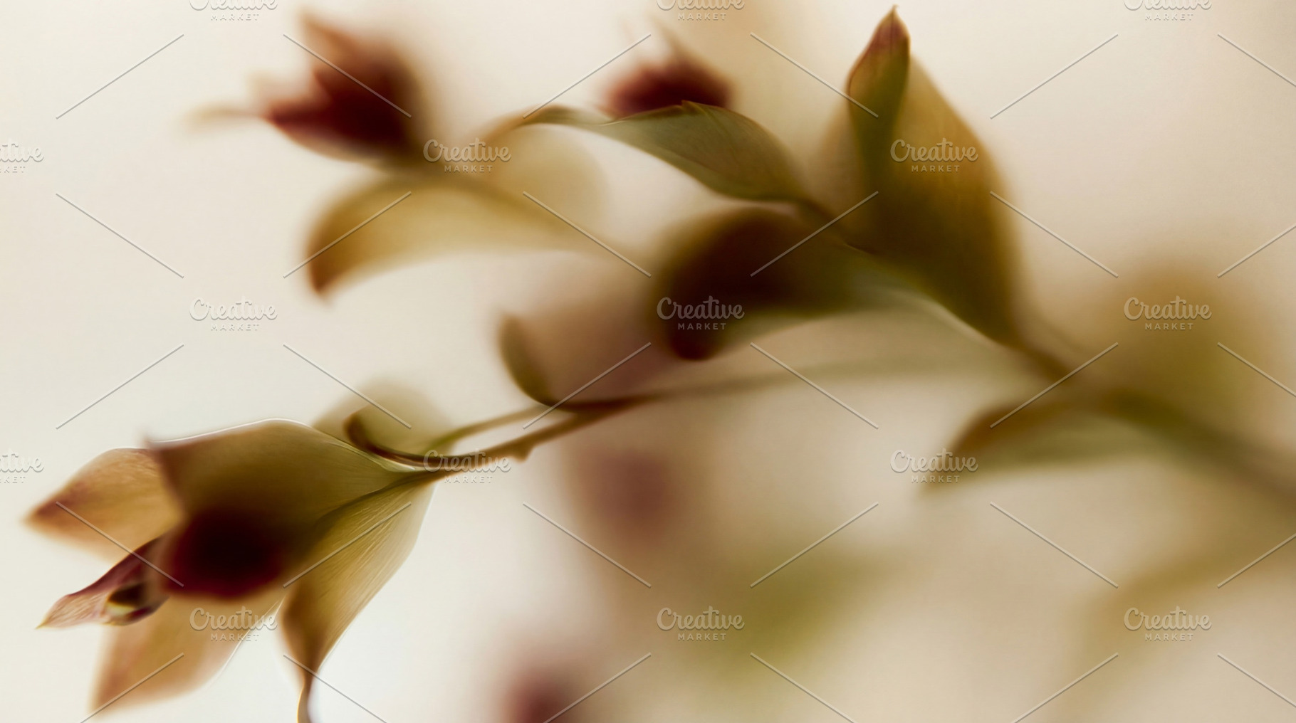 Dreamlike Botanical Abstract, a Nature Photo by Virgo Studio