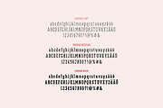 Farsan, a Slab Serif Font by Hökis Bokstavsfabrik (Thumbnail 6 of 7)