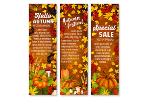 Autumn Vegetable, Leaf Banner On Wood Background