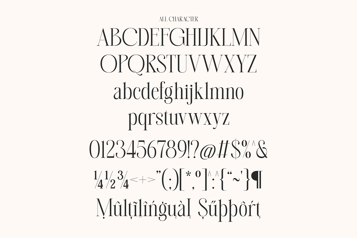 Megalme - Modern Serif Display Font, a Serif Font by Megatype (Photo 13 of 17)