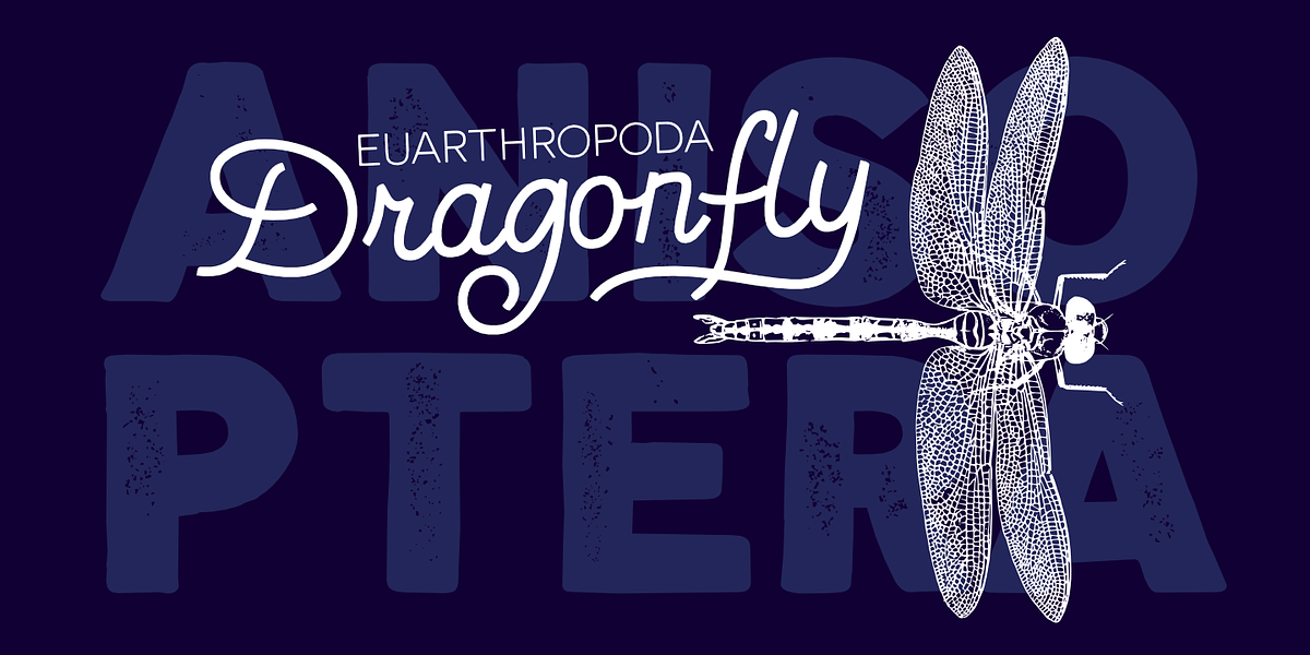 Nauticus, a Sans Serif Font by GRIN3 (Nowak) (Photo 2 of 6)