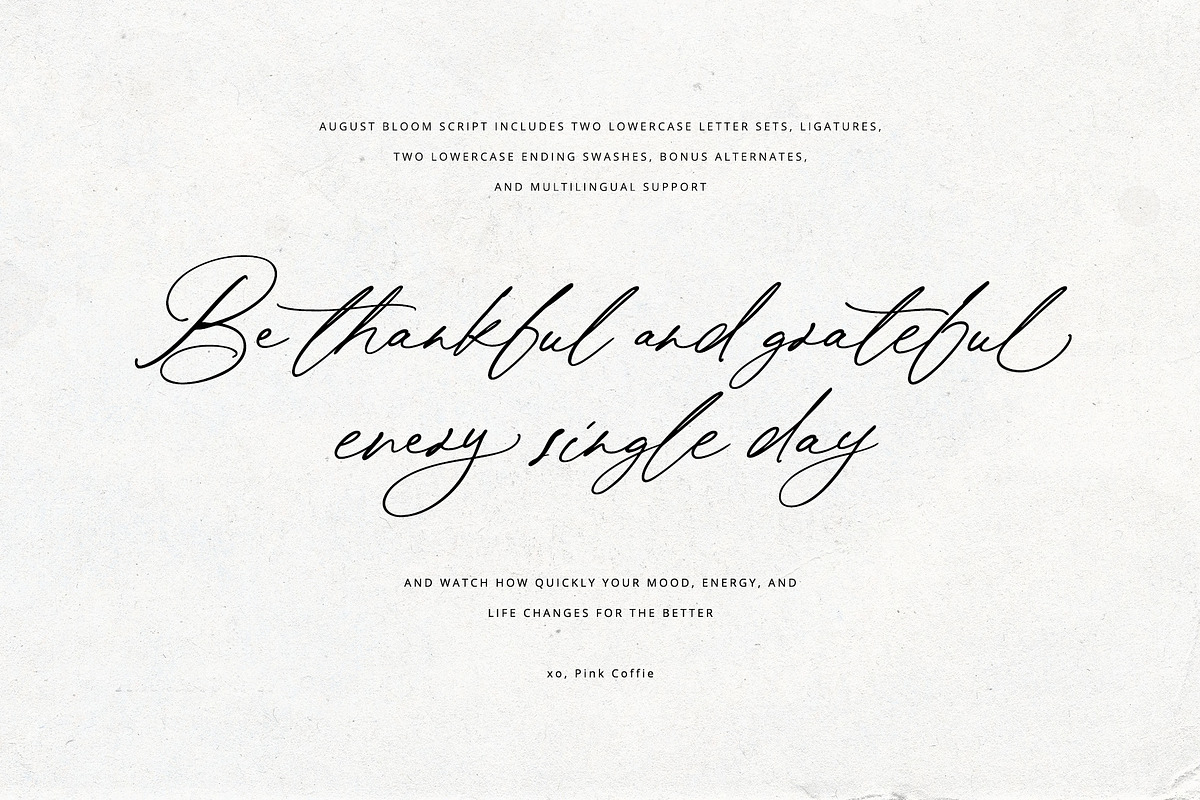 August Bloom | Elegant Script Font, a Script Font by Pink Coffie (Photo 11 of 31)