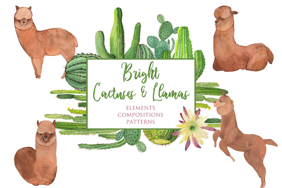 Bright Cactuses & Llamas Clipart, an Illustration by ColorfulNest (Photo 1 of 4)