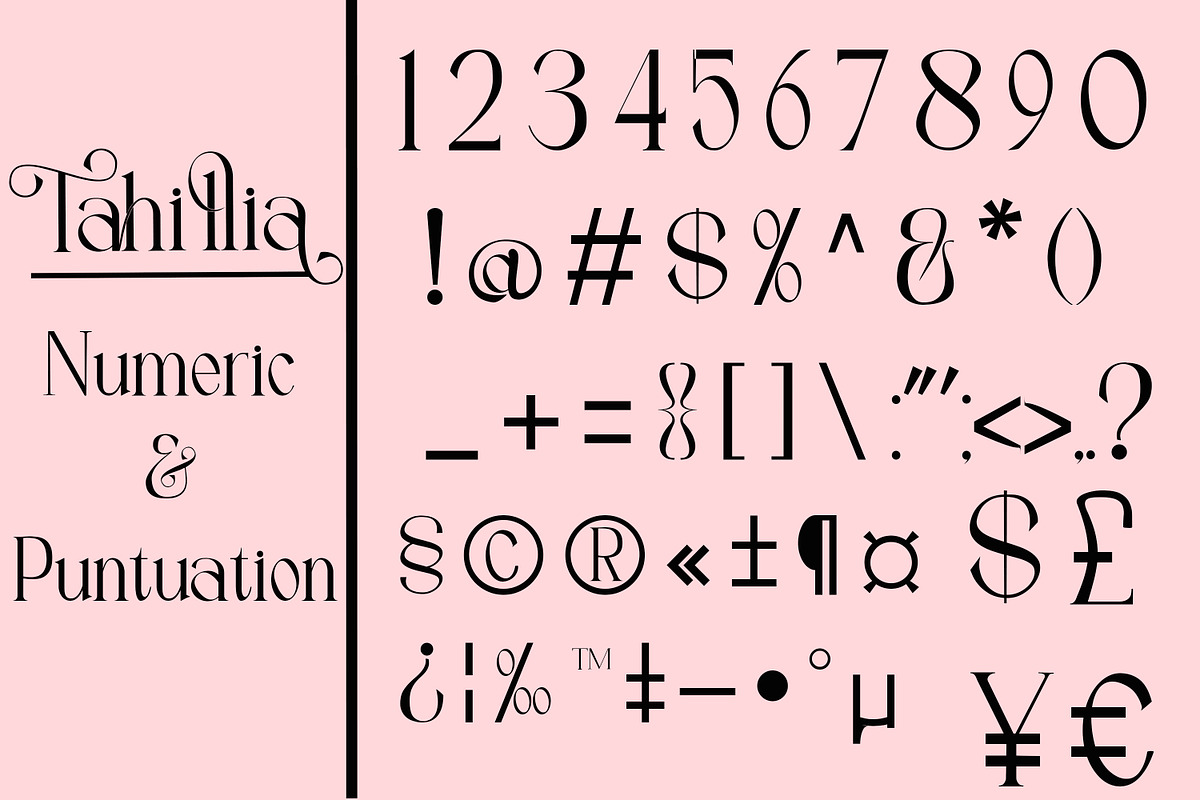 Tahillia, a Serif Font by Canden Meutuah (Photo 2 of 10)