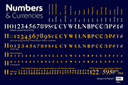 Rosart & Fleisch Hi Res ALL:10 FONTS, a Serif Font by California Type Foundry (Thumbnail 11 of 13)