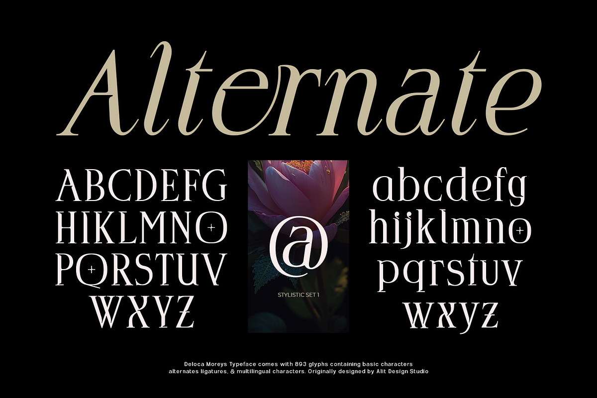 Deloca Moreys Typeface, a Serif Font by alit design (Photo 9 of 20)