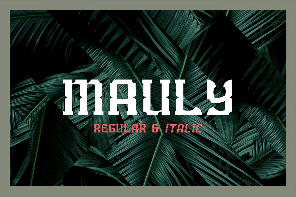 Mauly Typeface, a Serif Font by ANDR35 (Photo 1 of 10)