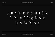 Captain Eagles - Modern Stylish, a Serif Font by RockboyStd (Thumbnail 11 of 12)