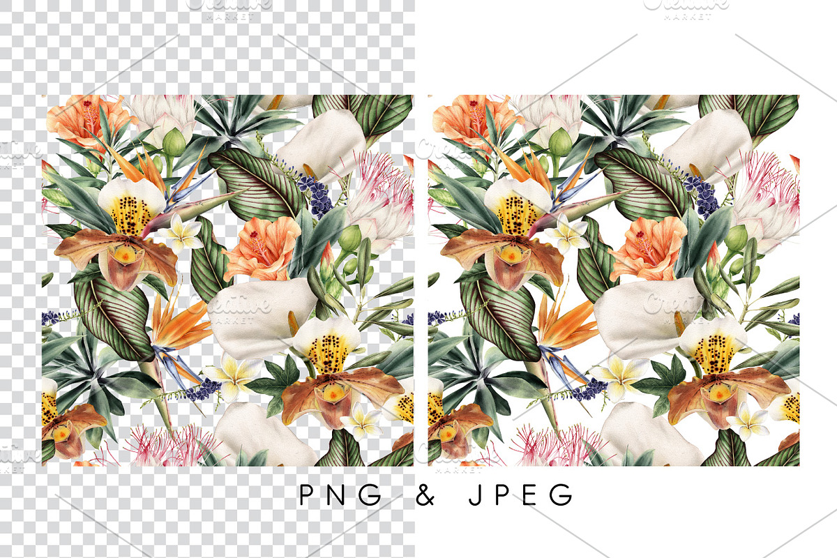 Seamless tropical patterns, a Pattern Graphic by ollalya (Photo 4 of 17)