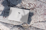 Flyer/Postcard Tropical Mockups, a Print Template by Dikarte.Store (Thumbnail 9 of 14)