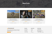 Hunting & Archery Club Template, a WordPress Template by HasnainDEV (Thumbnail 6 of 8)