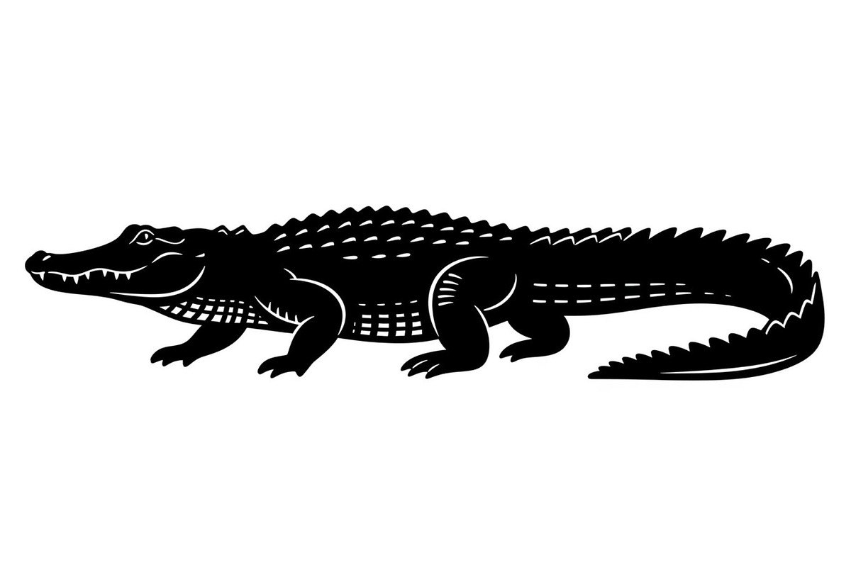 Crocodile Alligator Vector Bundle, an Illustration by jahid234 (Photo 50 of 51)