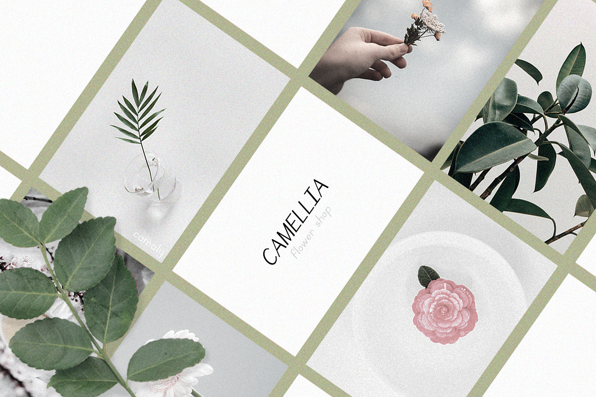 Camaly | san serif, a Sans Serif Font by white supply (Photo 3 of 5)