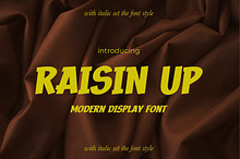 RAISIN UP - Modern Display Font