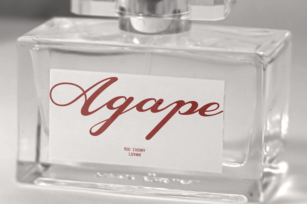 CF Lovina - Beautiful Elegant Script, a Script Font by Indotype Foundry (Photo 8 of 10)