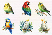 Parrots watercolor clipart,, an Illustration by CreationArt (Thumbnail 4 of 5)