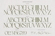 Aurora Borealis - Branding Font, a Serif Font by AndrewPixelType (Thumbnail 5 of 9)