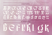 Abnorm Experimental Display Typeface, a Serif Font by Graphue (Thumbnail 3 of 9)