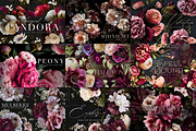 FLOWER POWER Graphics Biggest Bundle, an Object Graphic by Eclectic Anthology (Thumbnail 4 of 6)