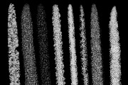 over 60 stipple brushes procreate, a Brush Add-On by Endete & Mazak brushes (Thumbnail 2 of 8)