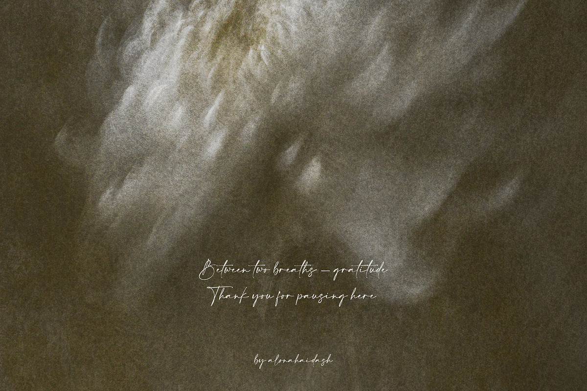 Lull · Brown Botanical Autumn Series, a Background Graphic by alonahaidash (Photo 15 of 16)