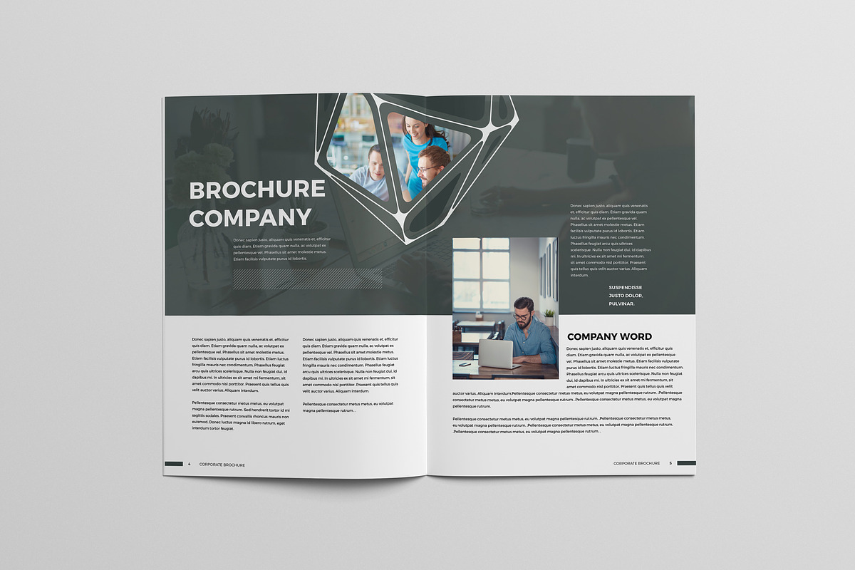 Business Company Profile Template, a Brochure Template by Taiffco (Photo 6 of 8)