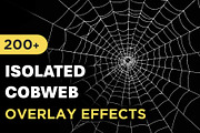 200+ Spider Web Overlays, a Nature Photo by Mikel Blazgad (Thumbnail 1 of 10)