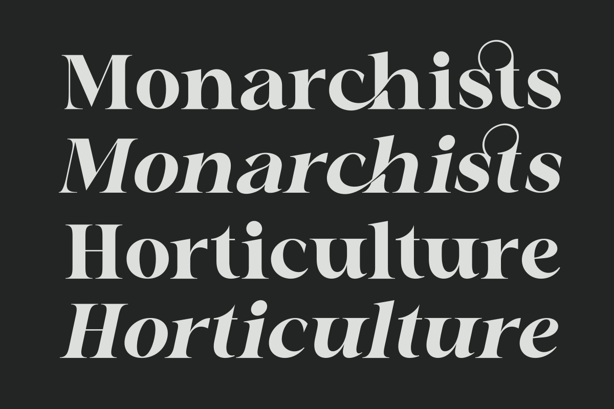 Chafira, a Serif Font by Zafiratype (Photo 6 of 10)