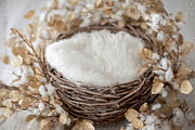 Newborn Basket Digital Backdrop, a Layer Style Add-On by Wild Honey Design Co. (Thumbnail 2 of 2)