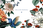 Seamless patterns Hummingbird Blooms, a Pattern Graphic by Yana Dobrik (Thumbnail 2 of 14)