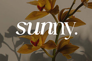The Heritage Legacy Serif Font, a Serif Font by UICreative (Thumbnail 9 of 13)