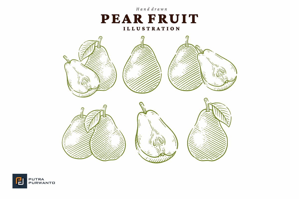 Vintage Hand Drawn Pear Illustration, a Food Illustration by putra_purwanto (Photo 1 of 3)