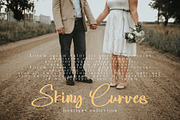 Banita Ralina, a Script Font by pineungtype (Thumbnail 10 of 11)