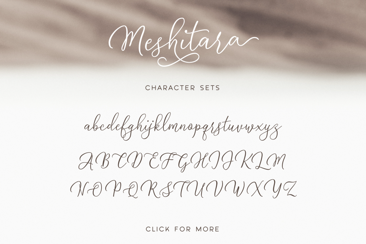 Meshitara Elegant Font preview 8