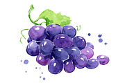 Set of purple foods, watercolor, a Food Illustration by Kamenuka (Thumbnail 3 of 4)