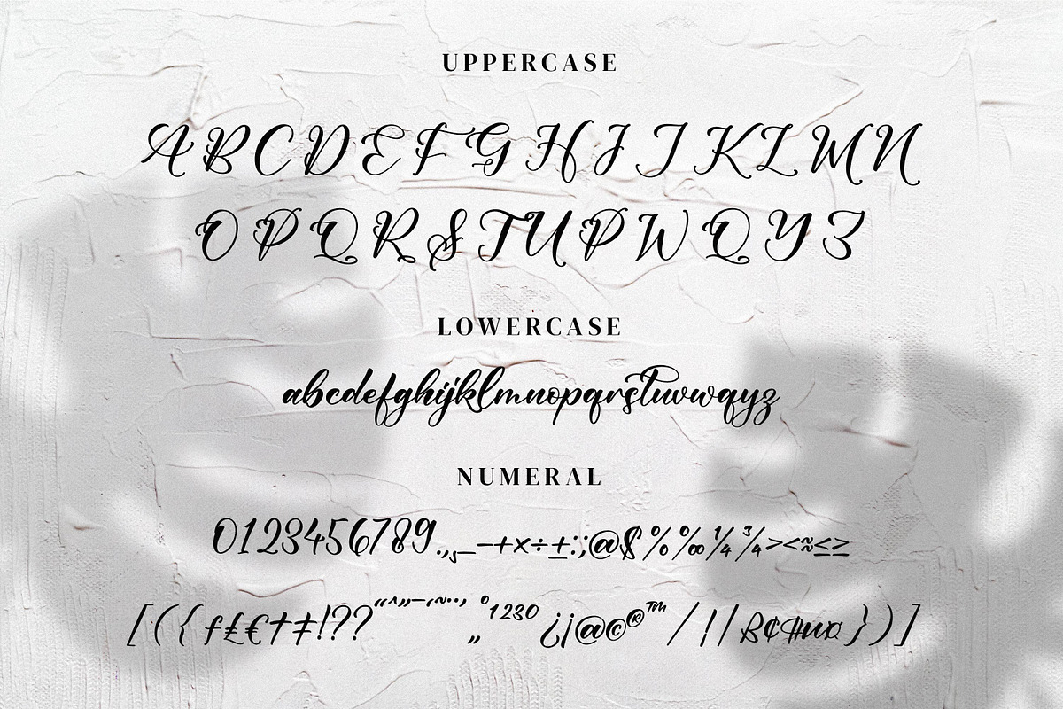Gladiesk Poetriea, a Script Font by Integritype Studio (Photo 5 of 15)