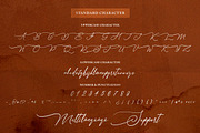 Sandrina- Elegant Script Font, a Script Font by Kotak Kuning Studio (Thumbnail 7 of 9)