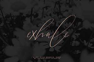 exhale. | calligraphy script font